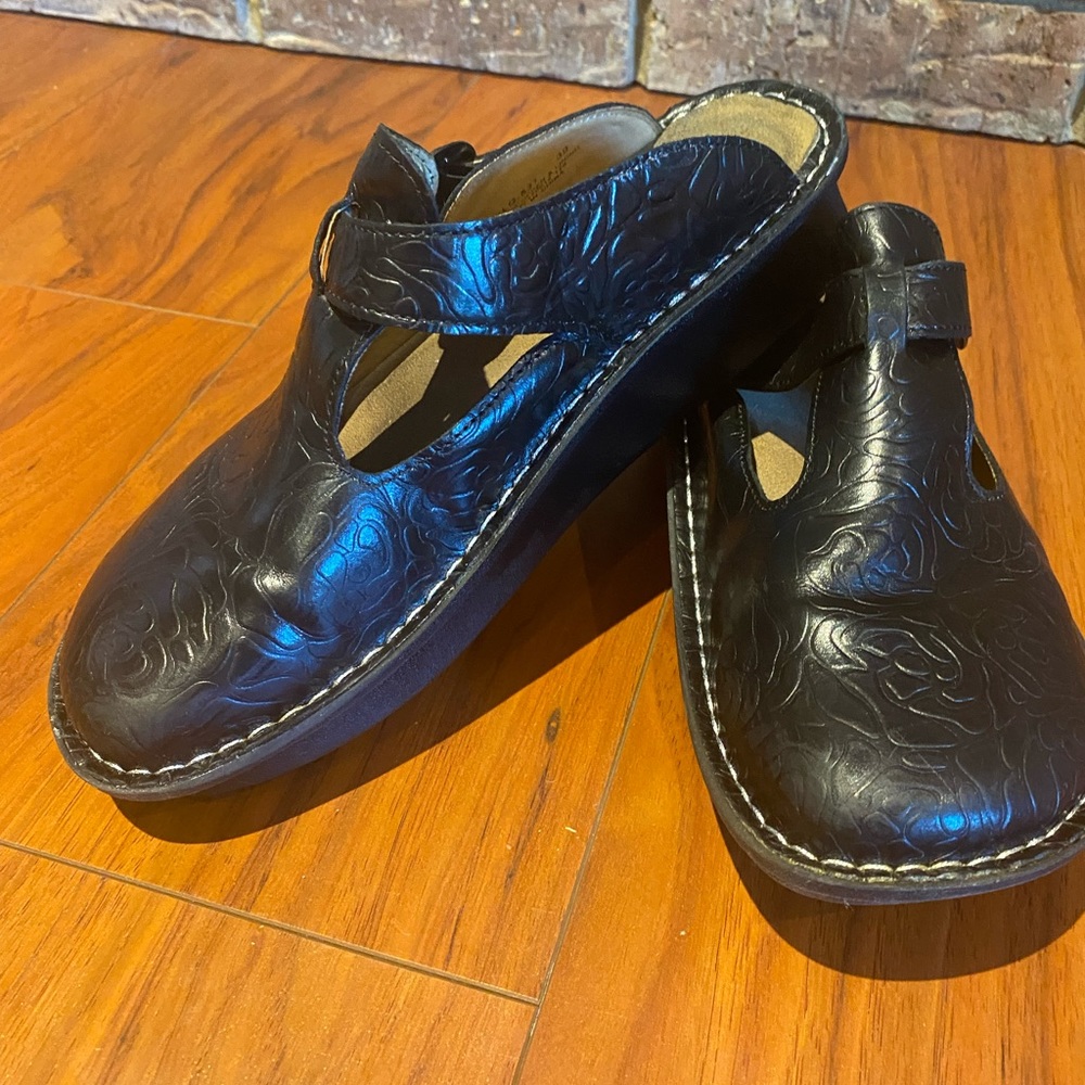 Alegria Clogs